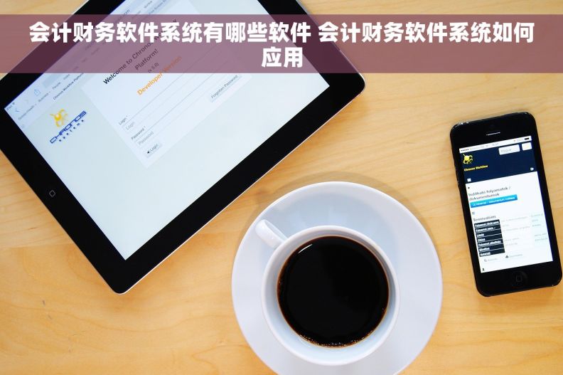 会计财务软件系统有哪些软件 会计财务软件系统如何应用
