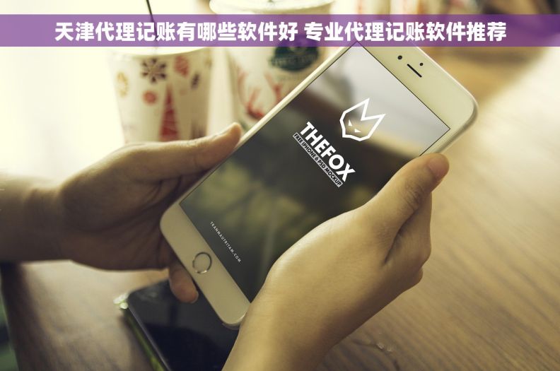 天津代理记账有哪些软件好 专业代理记账软件推荐