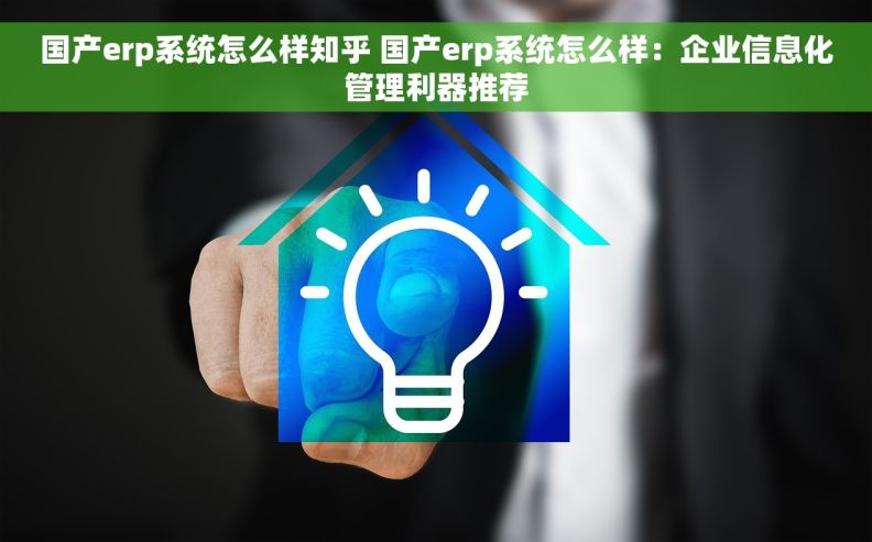 国产erp系统怎么样知乎 国产erp系统怎么样：企业信息化管理利器推荐