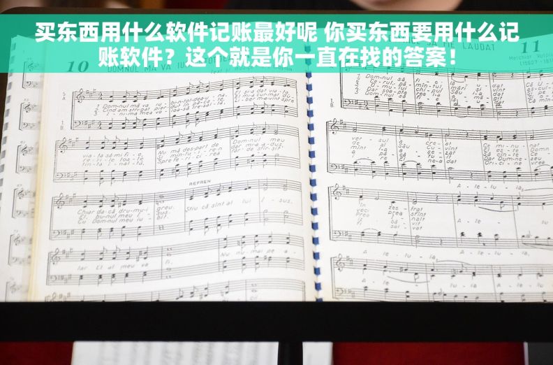 买东西用什么软件记账最好呢 你买东西要用什么记账软件？这个就是你一直在找的答案！