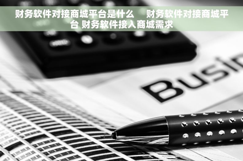 财务软件对接商城平台是什么     财务软件对接商城平台 财务软件接入商城需求