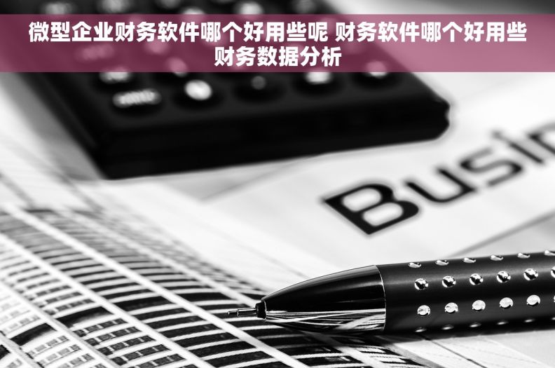 微型企业财务软件哪个好用些呢 财务软件哪个好用些财务数据分析