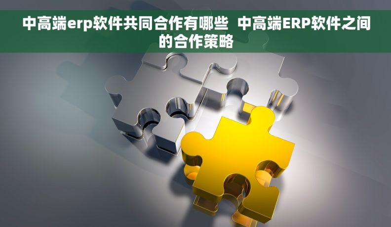 中高端erp软件共同合作有哪些  中高端ERP软件之间的合作策略