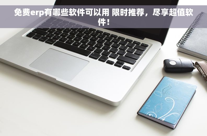 免费erp有哪些软件可以用 限时推荐，尽享超值软件！