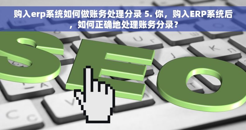 购入erp系统如何做账务处理分录 5. 你，购入ERP系统后，如何正确地处理账务分录？