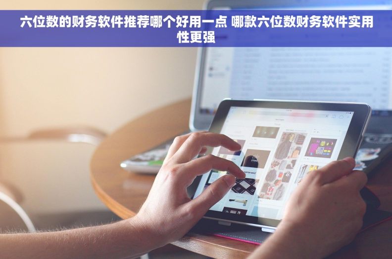 六位数的财务软件推荐哪个好用一点 哪款六位数财务软件实用性更强