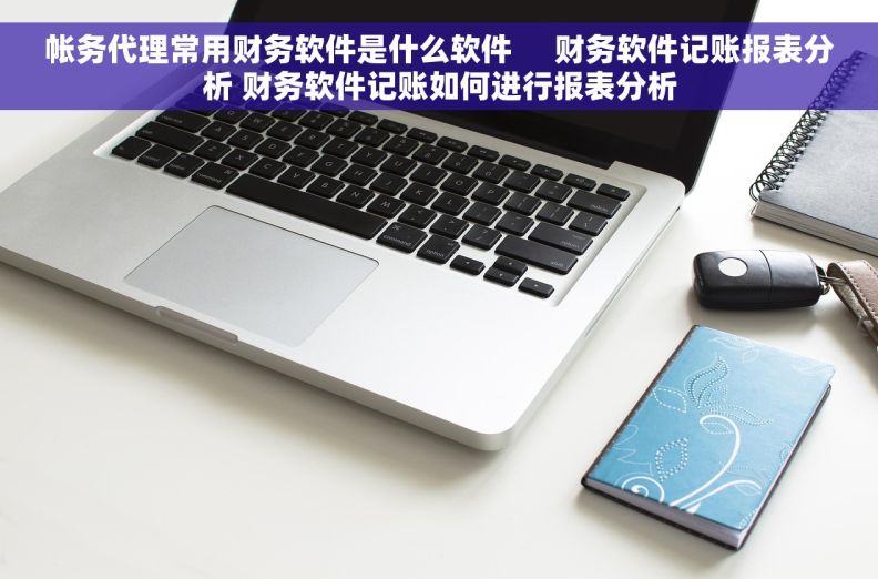 帐务代理常用财务软件是什么软件     财务软件记账报表分析 财务软件记账如何进行报表分析