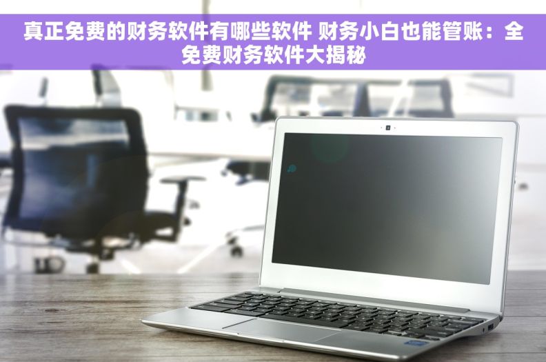 真正免费的财务软件有哪些软件 财务小白也能管账：全免费财务软件大揭秘