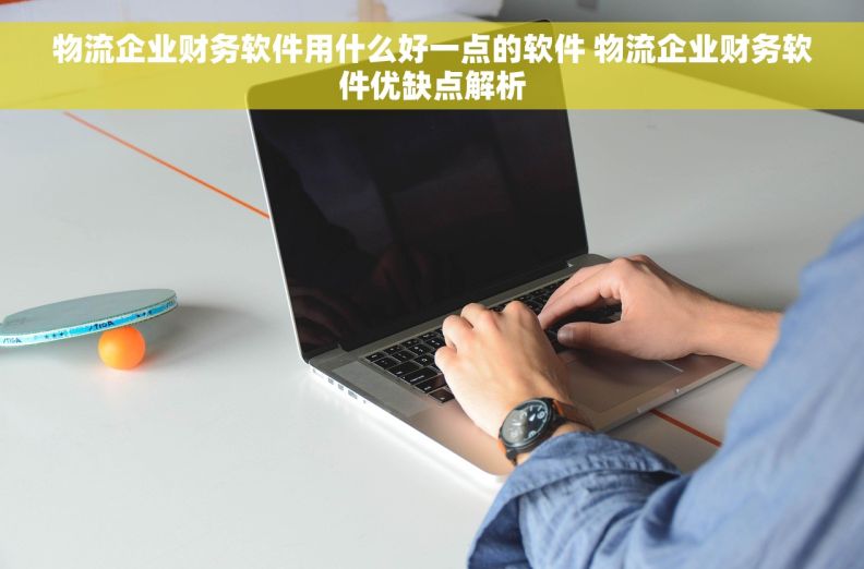 物流企业财务软件用什么好一点的软件 物流企业财务软件优缺点解析