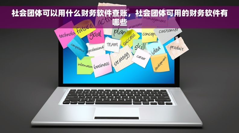 社会团体可以用什么财务软件查账，社会团体可用的财务软件有哪些
