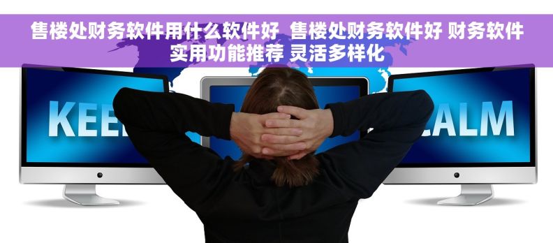 售楼处财务软件用什么软件好  售楼处财务软件好 财务软件实用功能推荐 灵活多样化