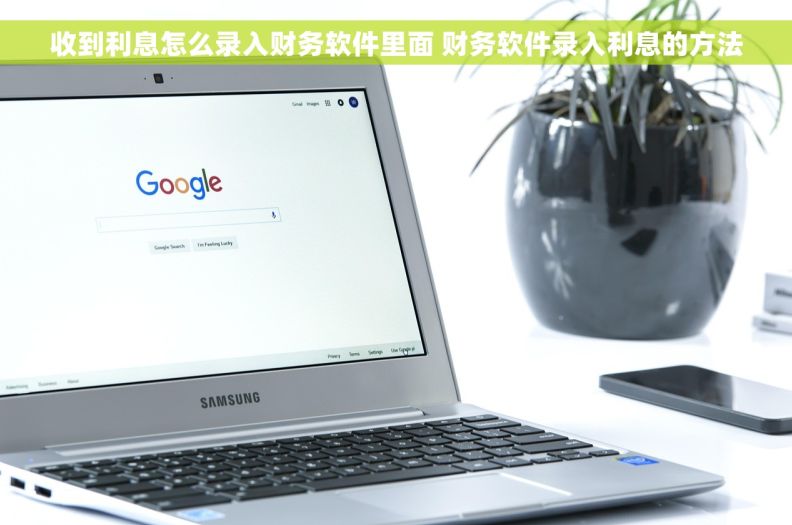收到利息怎么录入财务软件里面 财务软件录入利息的方法
