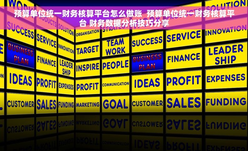 预算单位统一财务核算平台怎么做账  预算单位统一财务核算平台 财务数据分析技巧分享