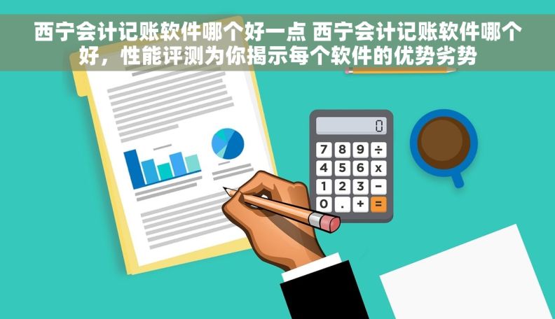 西宁会计记账软件哪个好一点 西宁会计记账软件哪个好，性能评测为你揭示每个软件的优势劣势