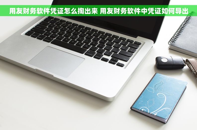用友财务软件凭证怎么掏出来 用友财务软件中凭证如何导出