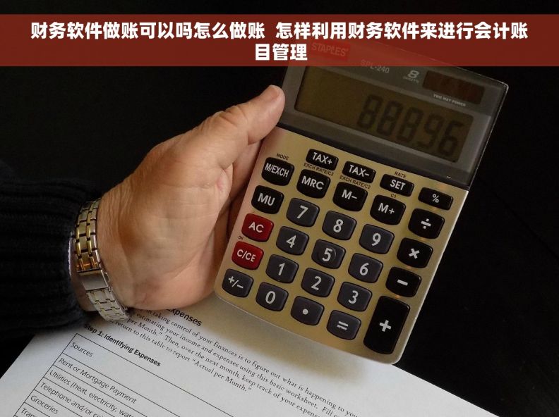 财务软件做账可以吗怎么做账  怎样利用财务软件来进行会计账目管理