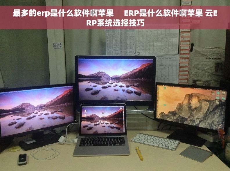 最多的erp是什么软件啊苹果     ERP是什么软件啊苹果 云ERP系统选择技巧