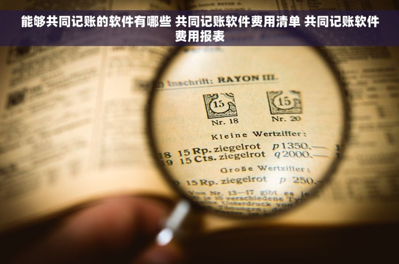 能够共同记账的软件有哪些 共同记账软件费用清单 共同记账软件费用报表