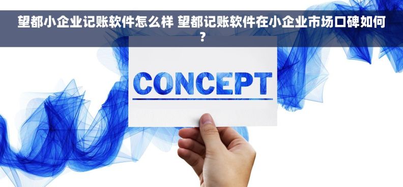 望都小企业记账软件怎么样 望都记账软件在小企业市场口碑如何？