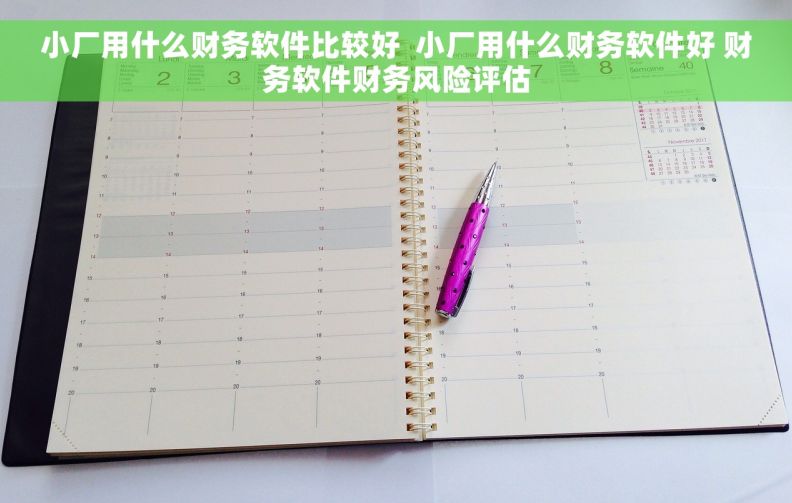 小厂用什么财务软件比较好  小厂用什么财务软件好 财务软件财务风险评估