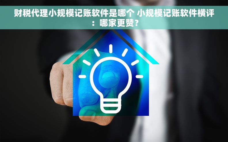 财税代理小规模记账软件是哪个 小规模记账软件横评：哪家更赞？