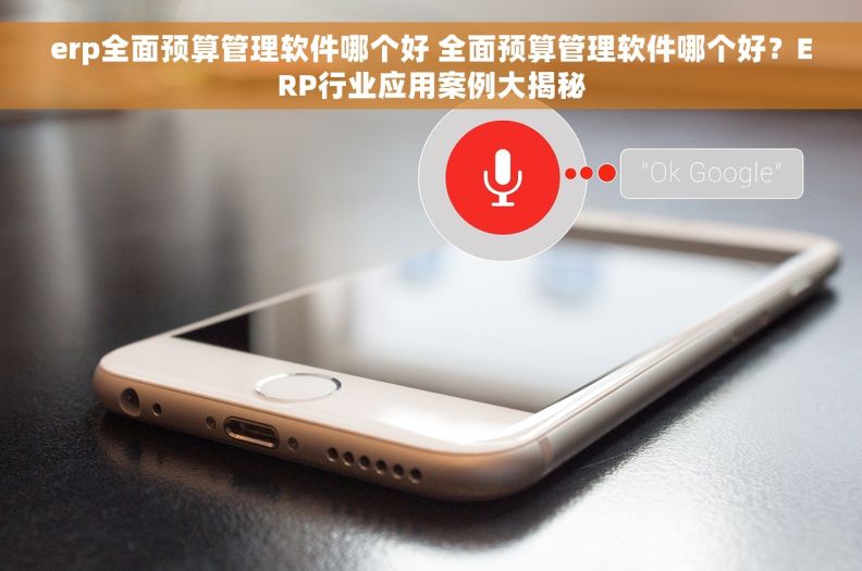 erp全面预算管理软件哪个好 全面预算管理软件哪个好？ERP行业应用案例大揭秘