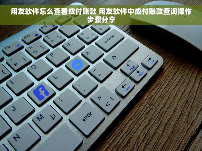 用友软件怎么查看应付账款 用友软件中应付账款查询操作步骤分享