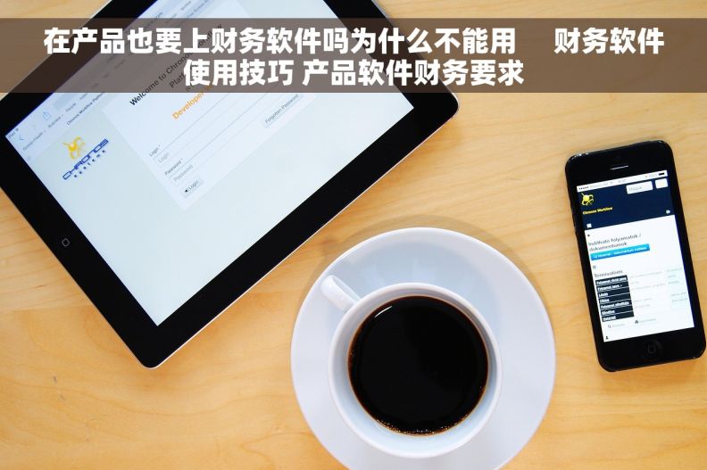 在产品也要上财务软件吗为什么不能用     财务软件使用技巧 产品软件财务要求