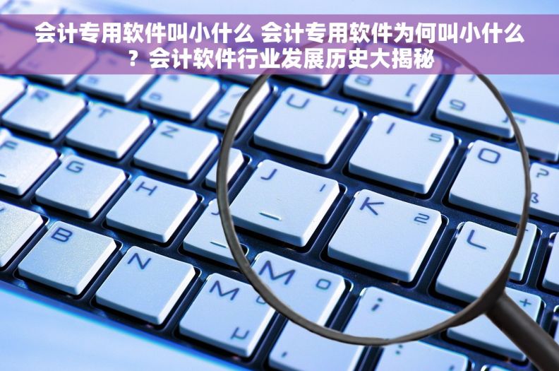 会计专用软件叫小什么 会计专用软件为何叫小什么？会计软件行业发展历史大揭秘