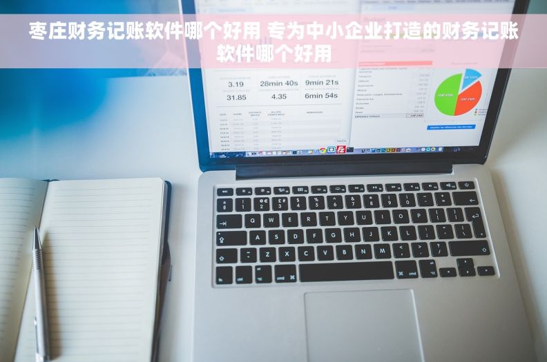 枣庄财务记账软件哪个好用 专为中小企业打造的财务记账软件哪个好用