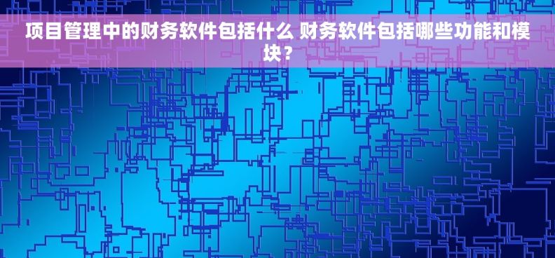 项目管理中的财务软件包括什么 财务软件包括哪些功能和模块？