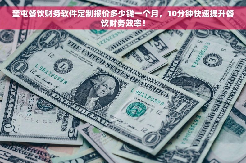 奎屯餐饮财务软件定制报价多少钱一个月，10分钟快速提升餐饮财务效率！