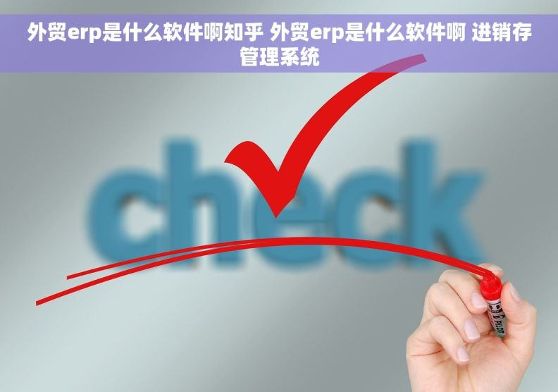 外贸erp是什么软件啊知乎 外贸erp是什么软件啊 进销存管理系统