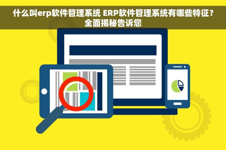 什么叫erp软件管理系统 ERP软件管理系统有哪些特征？全面揭秘告诉您