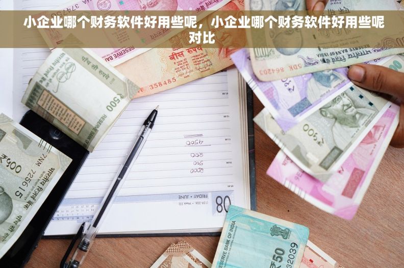  小企业哪个财务软件好用些呢，小企业哪个财务软件好用些呢对比