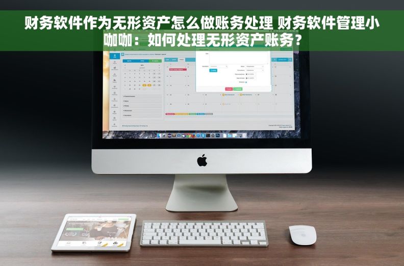 财务软件作为无形资产怎么做账务处理 财务软件管理小咖咖：如何处理无形资产账务？