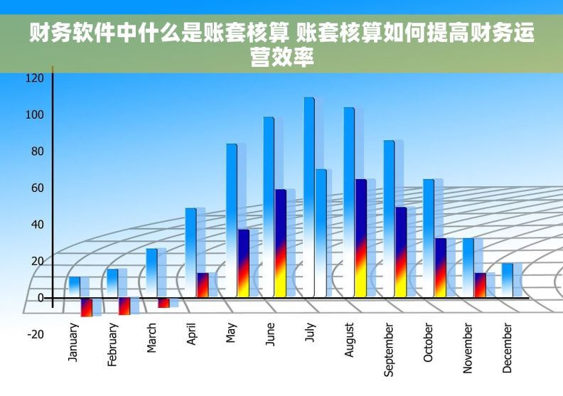 财务软件中什么是账套核算 账套核算如何提高财务运营效率