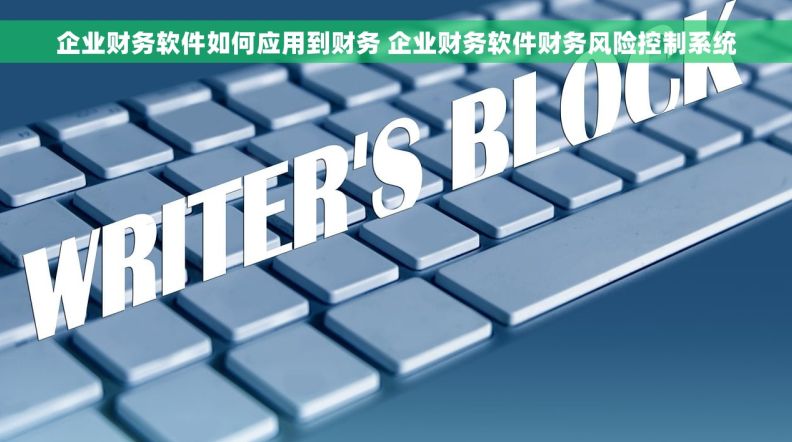 企业财务软件如何应用到财务 企业财务软件财务风险控制系统