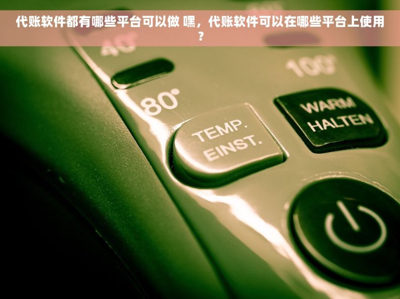 代账软件都有哪些平台可以做 嘿，代账软件可以在哪些平台上使用？