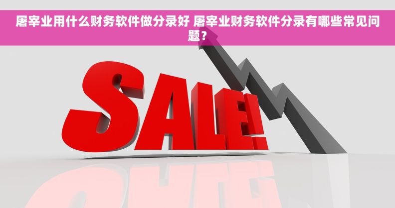 屠宰业用什么财务软件做分录好 屠宰业财务软件分录有哪些常见问题？