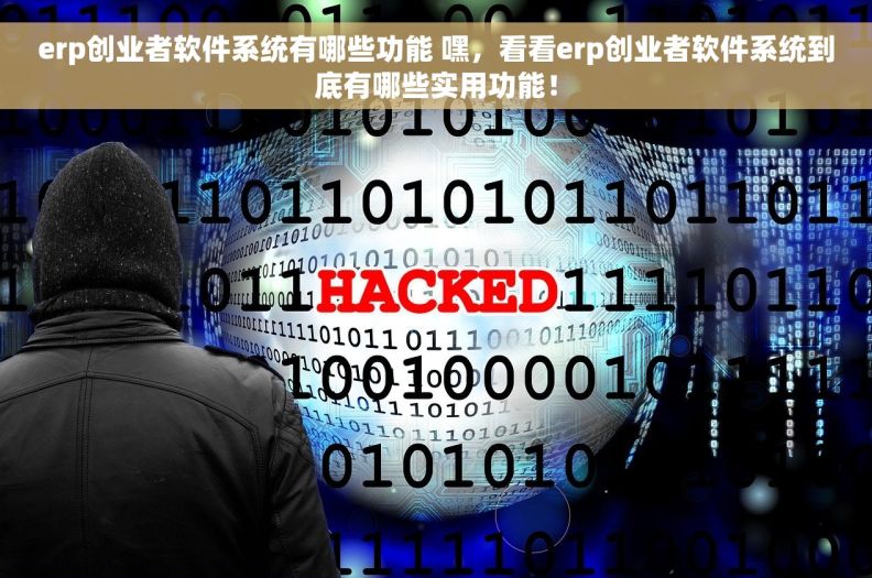 erp创业者软件系统有哪些功能 嘿，看看erp创业者软件系统到底有哪些实用功能！