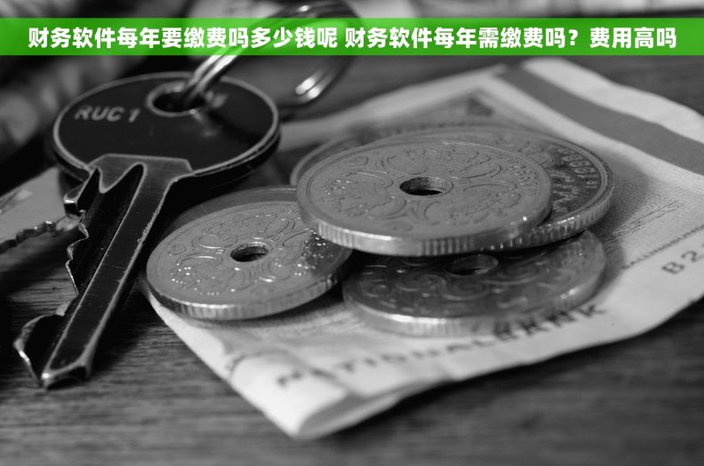 财务软件每年要缴费吗多少钱呢 财务软件每年需缴费吗？费用高吗