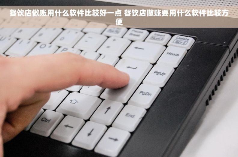 餐饮店做账用什么软件比较好一点 餐饮店做账要用什么软件比较方便