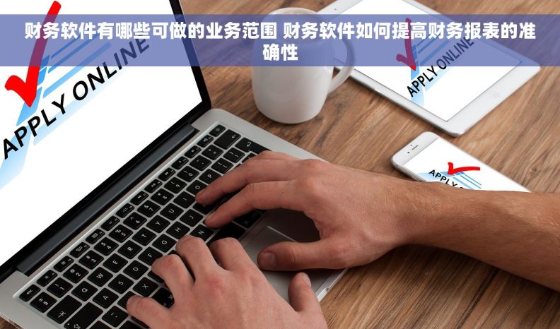 财务软件有哪些可做的业务范围 财务软件如何提高财务报表的准确性