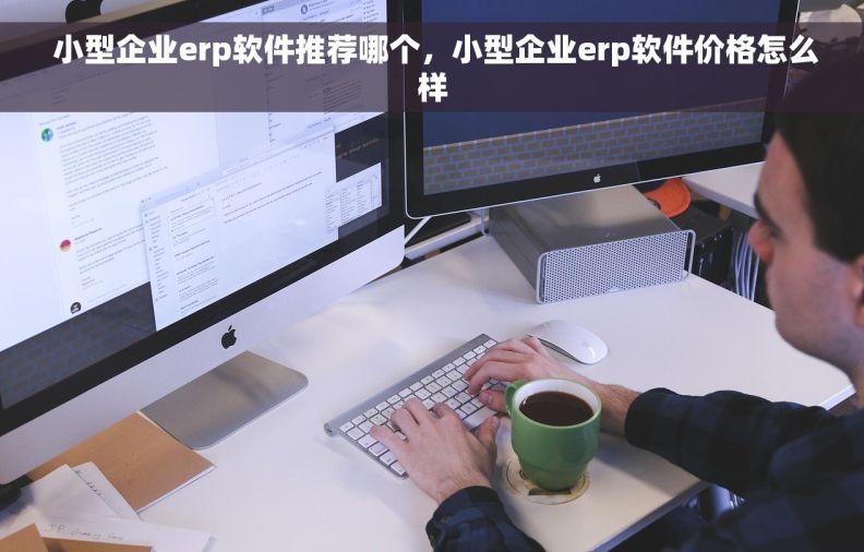  小型企业erp软件推荐哪个，小型企业erp软件价格怎么样