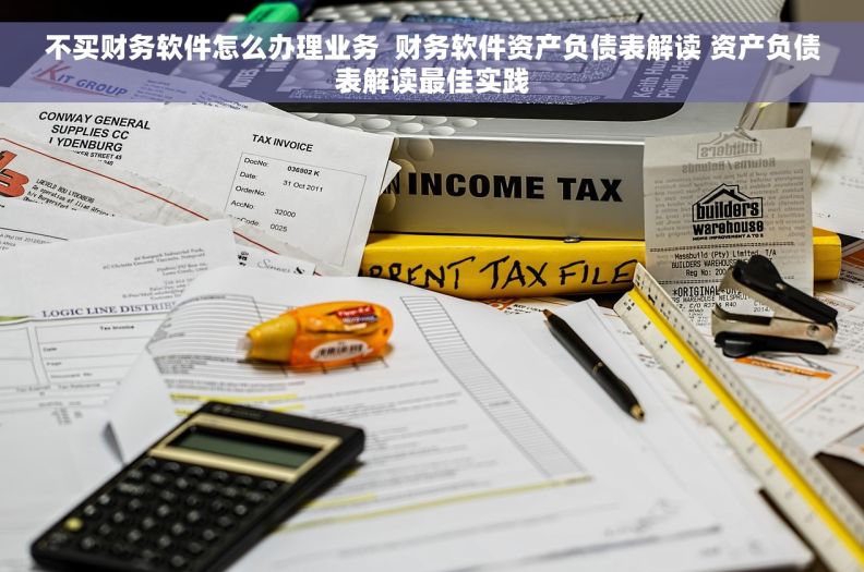 不买财务软件怎么办理业务  财务软件资产负债表解读 资产负债表解读最佳实践