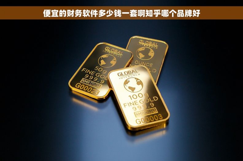 便宜的财务软件多少钱一套啊知乎哪个品牌好