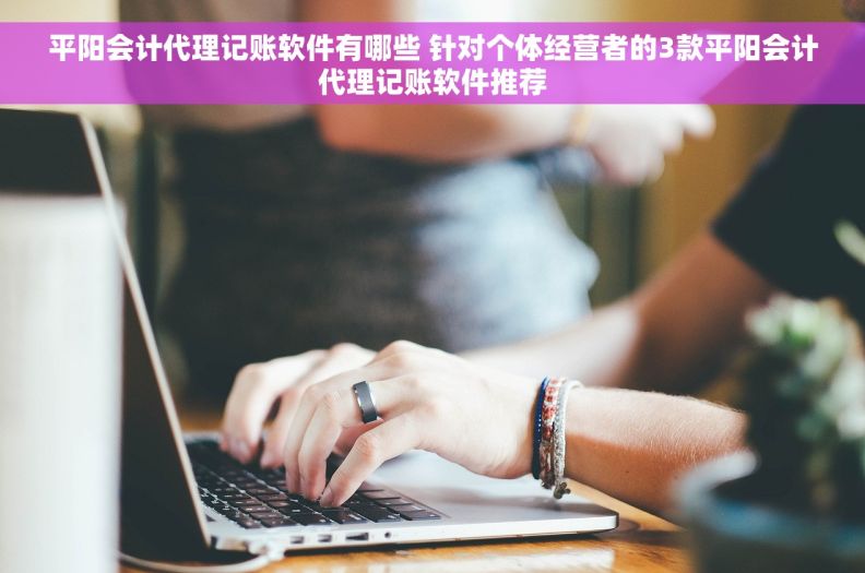 平阳会计代理记账软件有哪些 针对个体经营者的3款平阳会计代理记账软件推荐