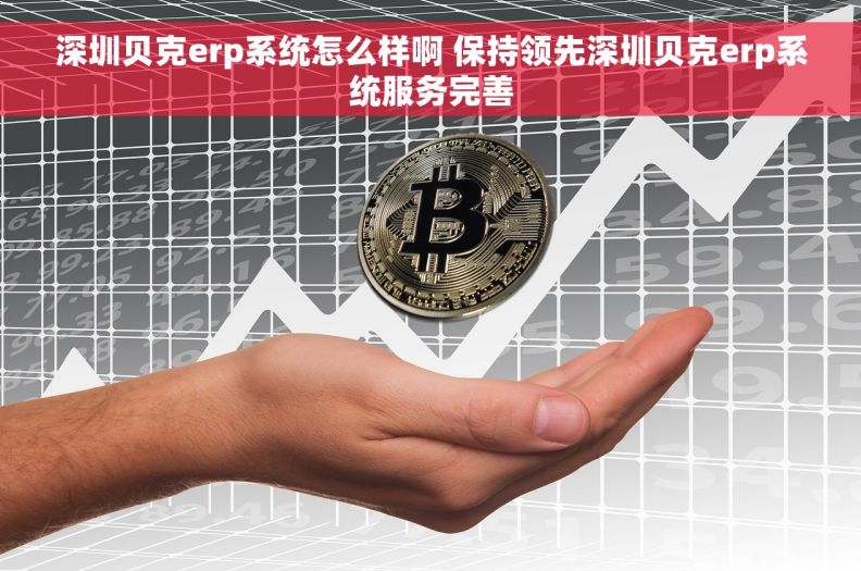 深圳贝克erp系统怎么样啊 保持领先深圳贝克erp系统服务完善