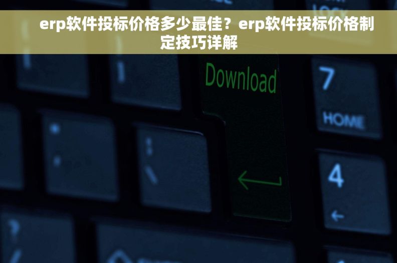     erp软件投标价格多少最佳？erp软件投标价格制定技巧详解